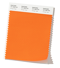 PANTONE 16-1358.jpg